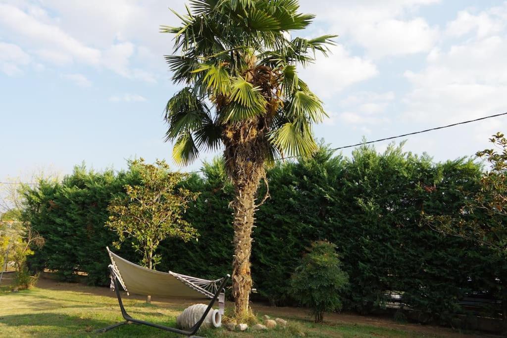 Villa Vasili Tríkala Esterno foto